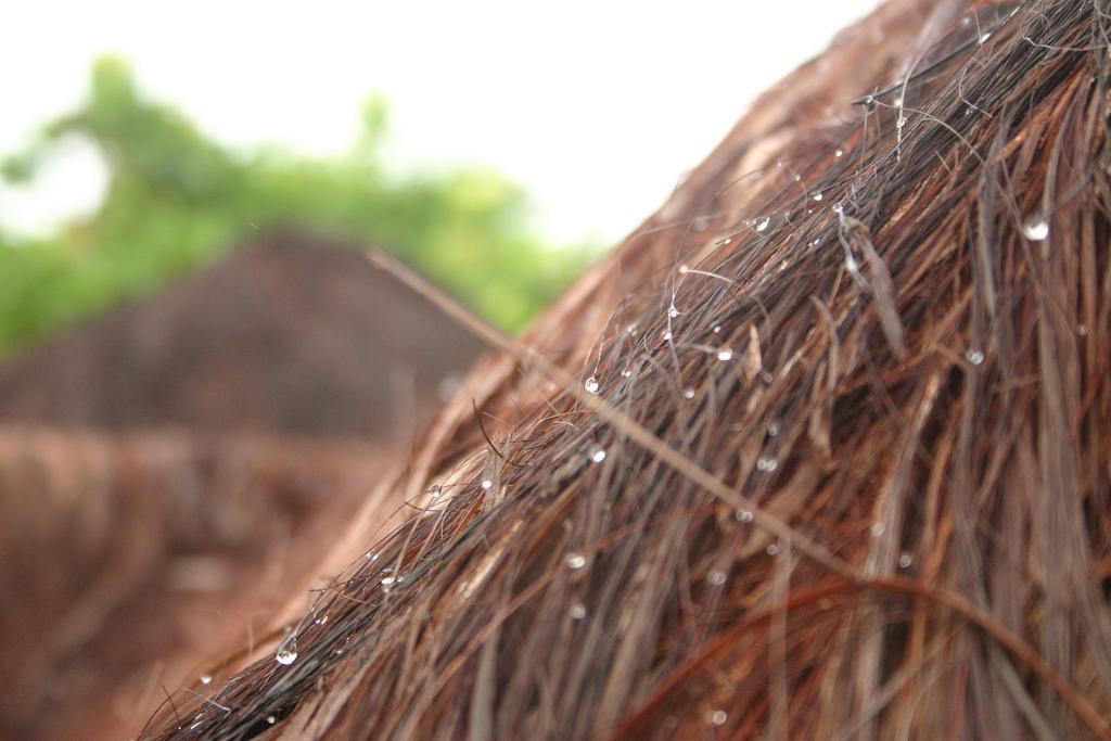 Bangalô dos Sonhos Morro de Sao Paulo Ngoại thất bức ảnh