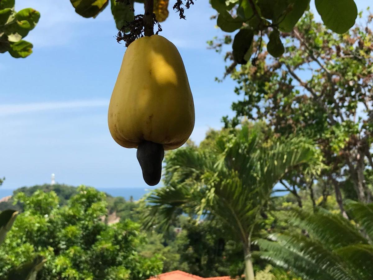 Bangalô dos Sonhos Morro de Sao Paulo Ngoại thất bức ảnh
