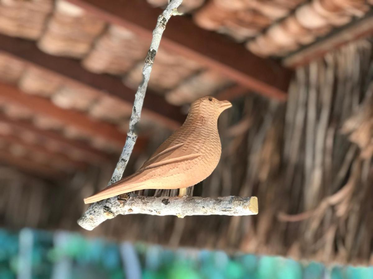 Bangalô dos Sonhos Morro de Sao Paulo Ngoại thất bức ảnh